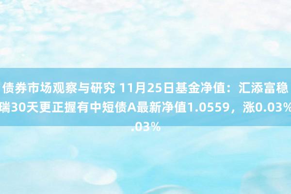   债券市场观察与研究 11月25日基金净值：汇添富稳瑞30天更正握有中短债A最新净值1.0559，涨0.03%