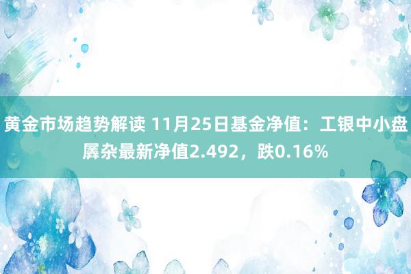 黄金市场趋势解读 11月25日基金净值：工银中小盘羼杂最新净值2.492，跌0.16%