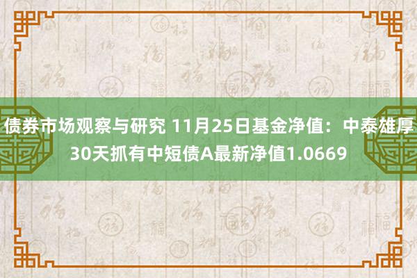 债券市场观察与研究 11月25日基金净值：中泰雄厚30天抓有中短债A最新净值1.0669