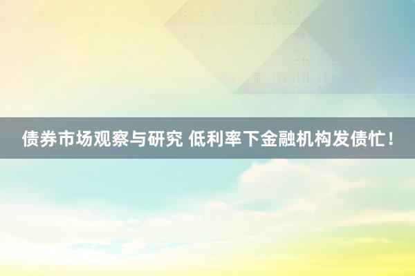   债券市场观察与研究 低利率下金融机构发债忙！