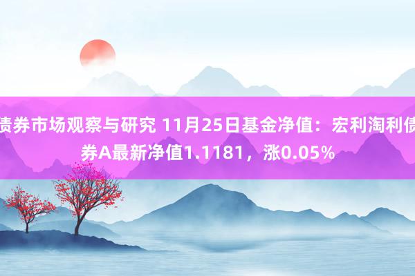 债券市场观察与研究 11月25日基金净值：宏利淘利债券A最新净值1.1181，涨0.05%