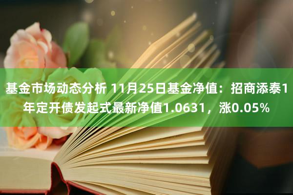   基金市场动态分析 11月25日基金净值：招商添泰1年定开债发起式最新净值1.0631，涨0.05%