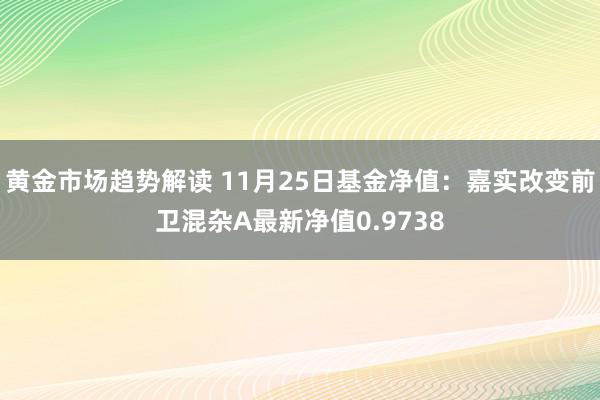 黄金市场趋势解读 11月25日基金净值：嘉实改变前卫混杂A最