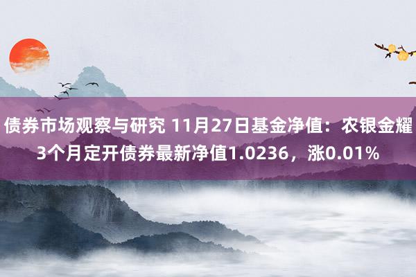 债券市场观察与研究 11月27日基金净值：农银金耀3个月定开